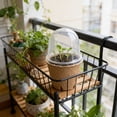 thumbnail image 6 of 20Pcs Biodegradable Seedling Pots with Humidity Domes, 8cm Nursery Germination Trays with Air Pruning Holes for Vegetable & Flower Seedlings, 6 of 7