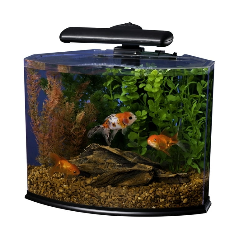 Acrylic hot sale aquarium kit