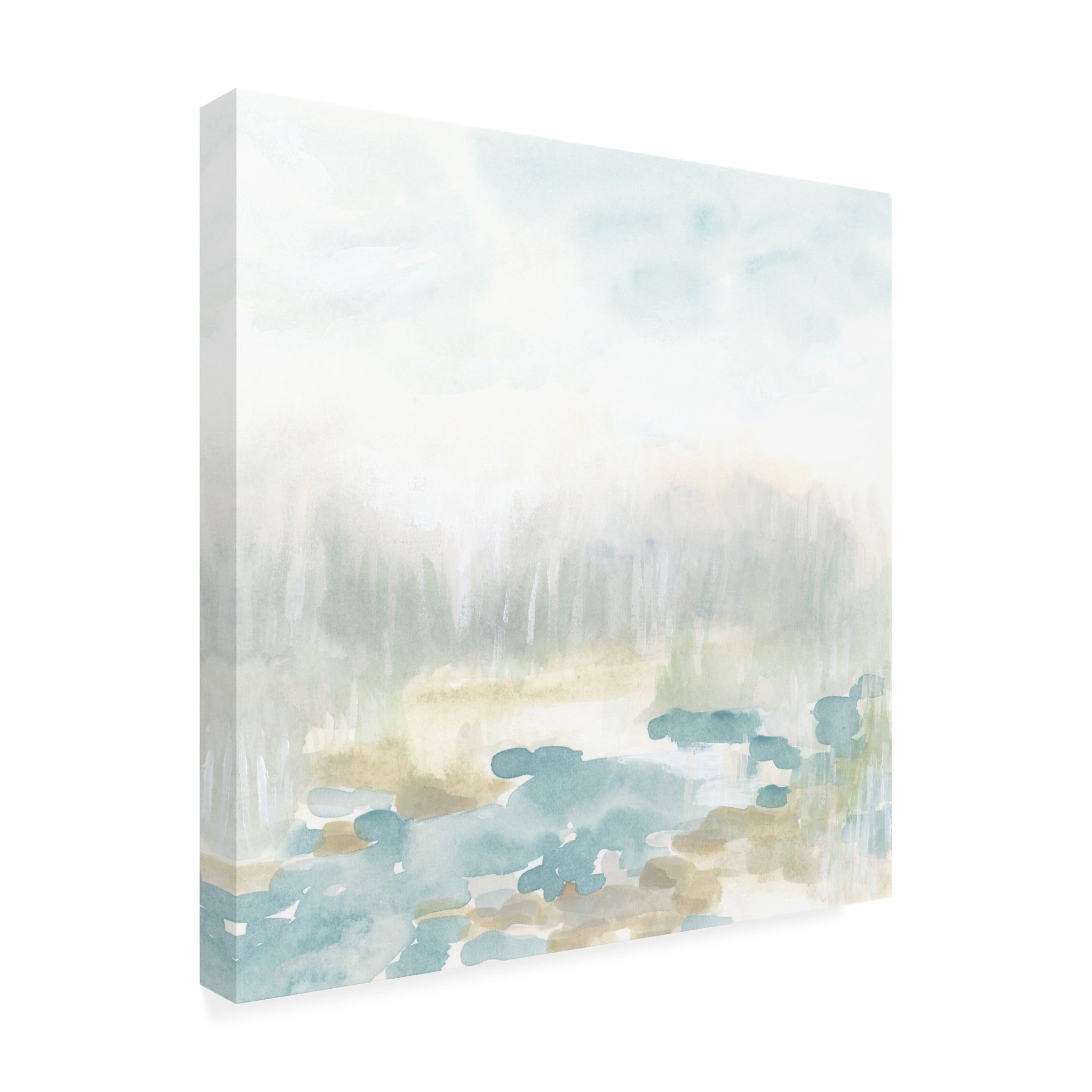 Trademark Fine Art June Erica Vess Misty Creekbed II Canvas Wall Art
