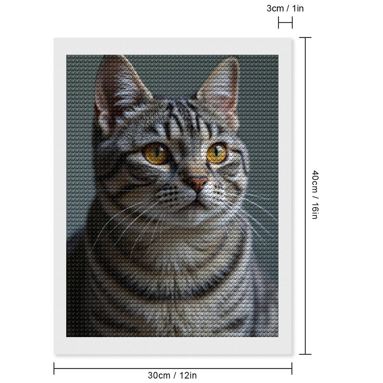 Diamond Art Kit for Adults, Majestic Tabby Cat Portrait Diamond Painting for Adults Beginners, 5D DIY Diamond Art Painting Kits, Colorful Diamond Painting Craft for Home Decor 12x16