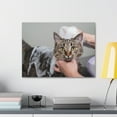 thumbnail image 6 of Cute Gray Cat Bath Canvas Wall Art for Home Decor Ready-to-Hang, 6 of 18