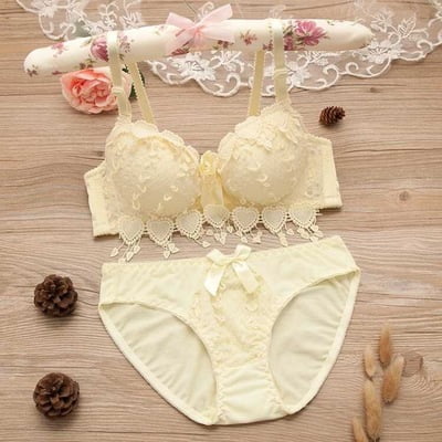 Thin Embroidery Push Up Bra Set Sexy Lace Underwear Set for Women Bra and Panty  Set 