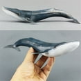 thumbnail image 2 of Model Toy 27cm Simulation Whale Ocean Sealife Animals PVC Model Kids Learning Toy Gift, 2 of 6