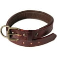 thumbnail image 7 of logical leather padded leather dog collar - brown - m, 7 of 7