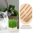 thumbnail image 3 of Cat Treats Grass Seeds Planter Nursery Box Hydroponics Plastic, 3 of 6