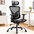 thumbnail image 1 of Silla de oficina Marsail de malla ergonómica con soporte lumbar ajustable, 1 of 7