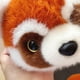 thumbnail image 5 of Almohada de peluche deformable para mapaches - Peluche transformable 2 en 1, suave y adorable, forma completa en 3D, formas de panda y mapache, decoración adorable, 5 of 9