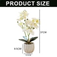 thumbnail image 2 of Película de impresión 3D, doble tenedor, phalaenopsis, bonsái, decoración del hogar, simulación de plantas en macetas, 2 of 5