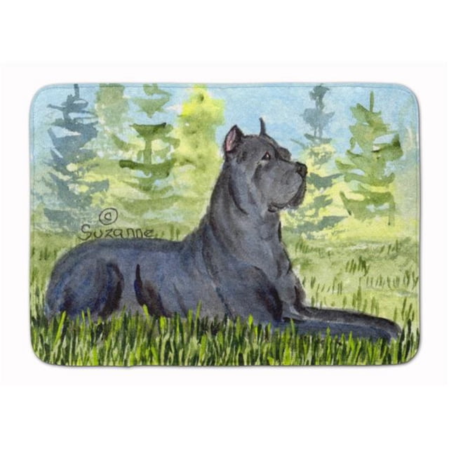 Carolines Treasures SS8682RUG Mat de Mousse à Mémoire Lavable en Machine