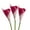 Magenta, variant on Artificial Calla Lily Flower Stems 25 inch Tall (Set of 3)