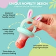 thumbnail image 2 of Vesta Baby Soft Silicone Fruit Food Feeder & Teether - 2 Sizes Set - Easter Bunny, 2 of 10