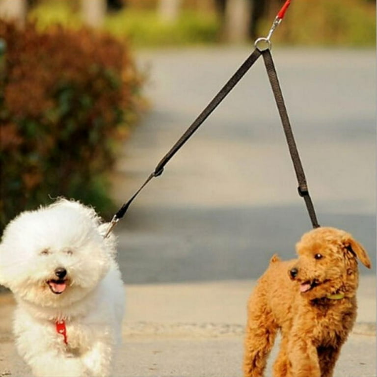 Double dog leash walmart cheap