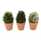 thumbnail image 5 of Juego de 3 plantas artificiales Nikou en macetas de plástico, 5 of 15