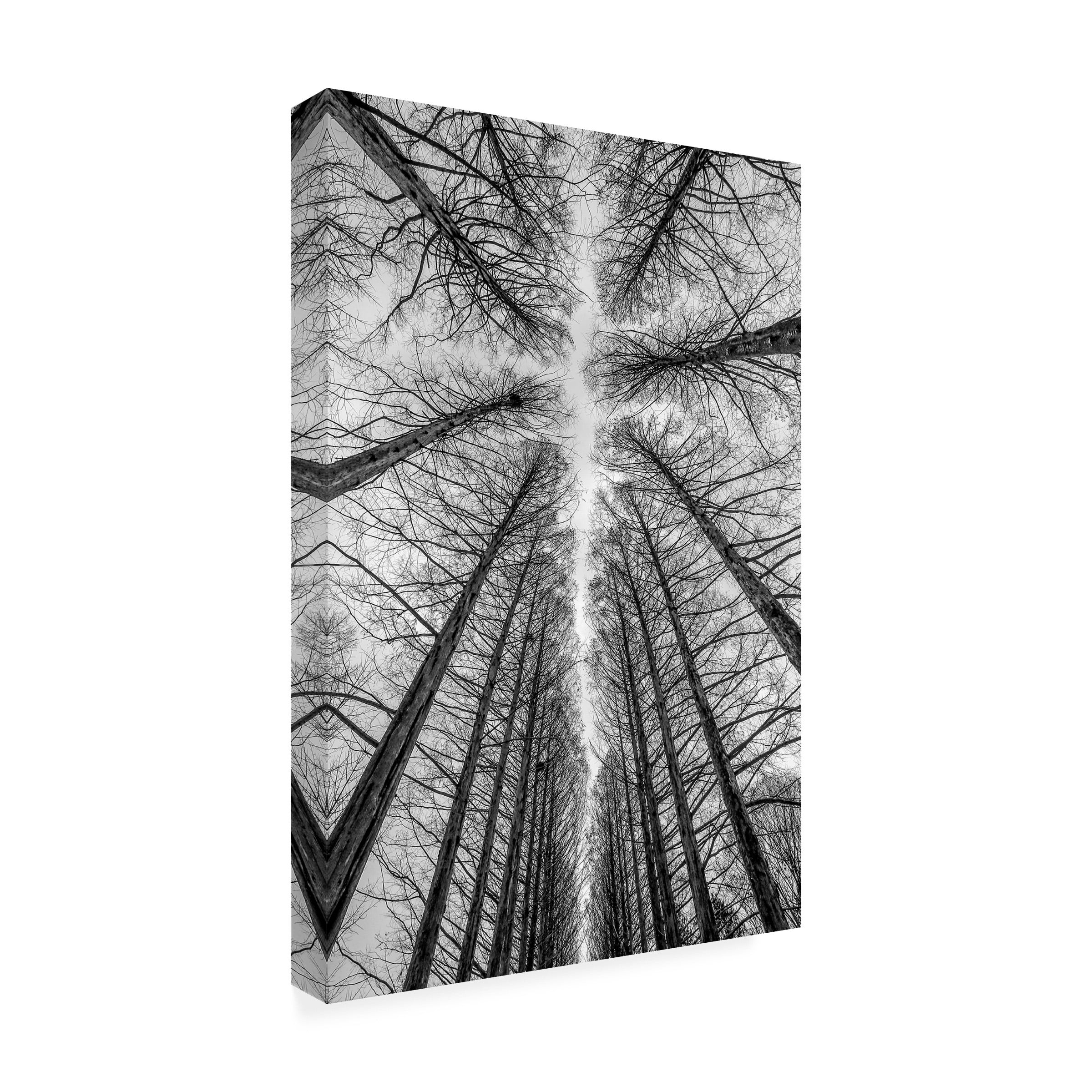 Ronni Santoso 'The Road' Canvas Art
