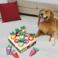 thumbnail image 3 of Greeniant Funny Carrot Plush Toy for Dogs Pulling  Vegetable Fruit Plaything Carrots Suministros para perros 9 hoyos, 3 of 6
