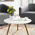 thumbnail image 1 of BESTYASH 2Ud Bonsái Falso Decorativo Ideal Para Adornar Mesas Y Estanterías Interiores, 1 of 8