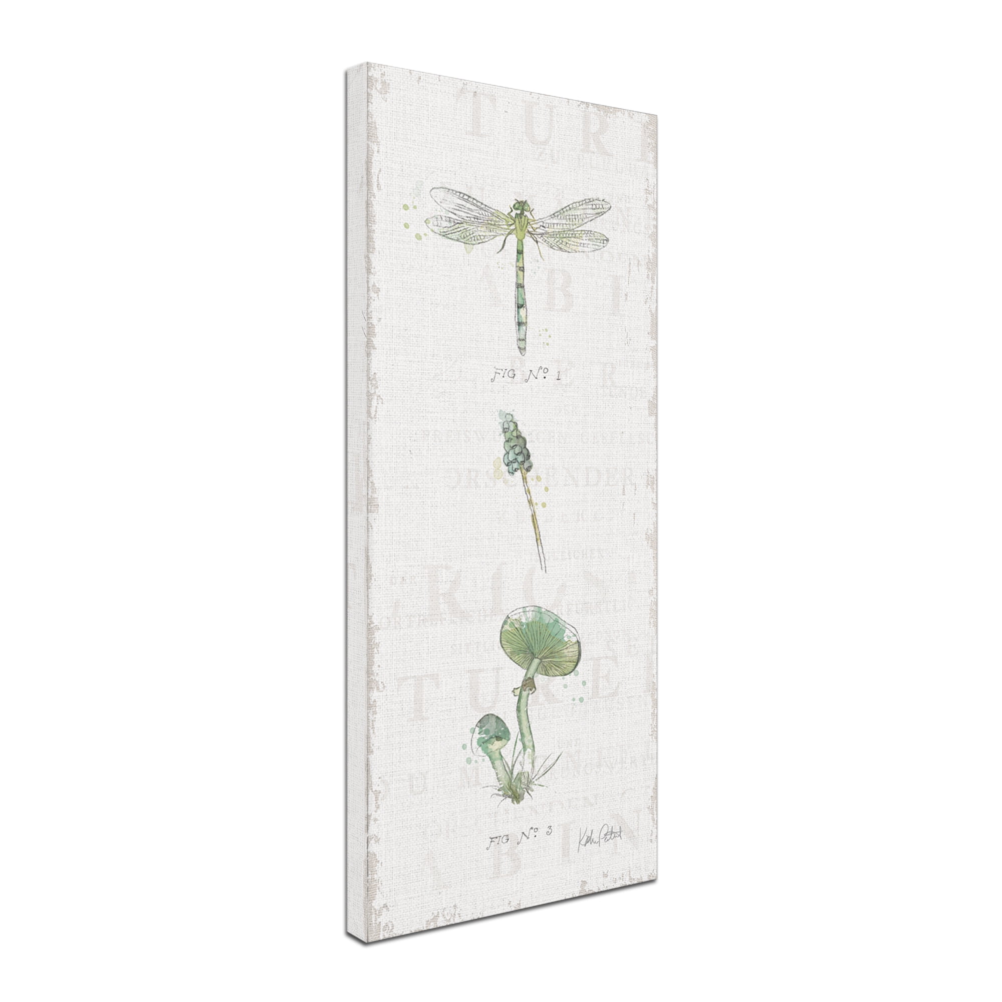 Trademark Fine Art 'In the Forest X' Canvas Art by Katie Pertiet