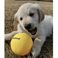 thumbnail image 4 of Spikeball Standard Replacement Balls (2 Pack), 4 of 4