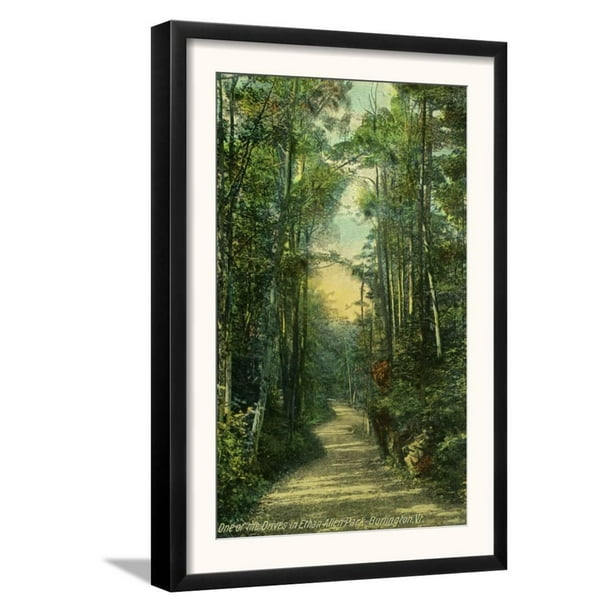 Burlington Vermont View Of A Drive In Ethan Allen Park Framed Art Print Wall Com - Ethan Allen Framed Wall Art Burlington Vermont View Of A Drive In Ethan Allen Park Framed Art Print Wall Com - Ethan Allen Framed Wall Art