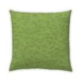 thumbnail image 1 of Ahgly Company Indoor Square Contemporary Throw Pillow, 18 inch by 18 inch, 1 of 5