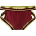 thumbnail image 7 of JOCKMAIL Men's Underwear Briefs Breathable Comfortable Mesh Underwear Low Rise Briefs 2 Pack, 7 of 7