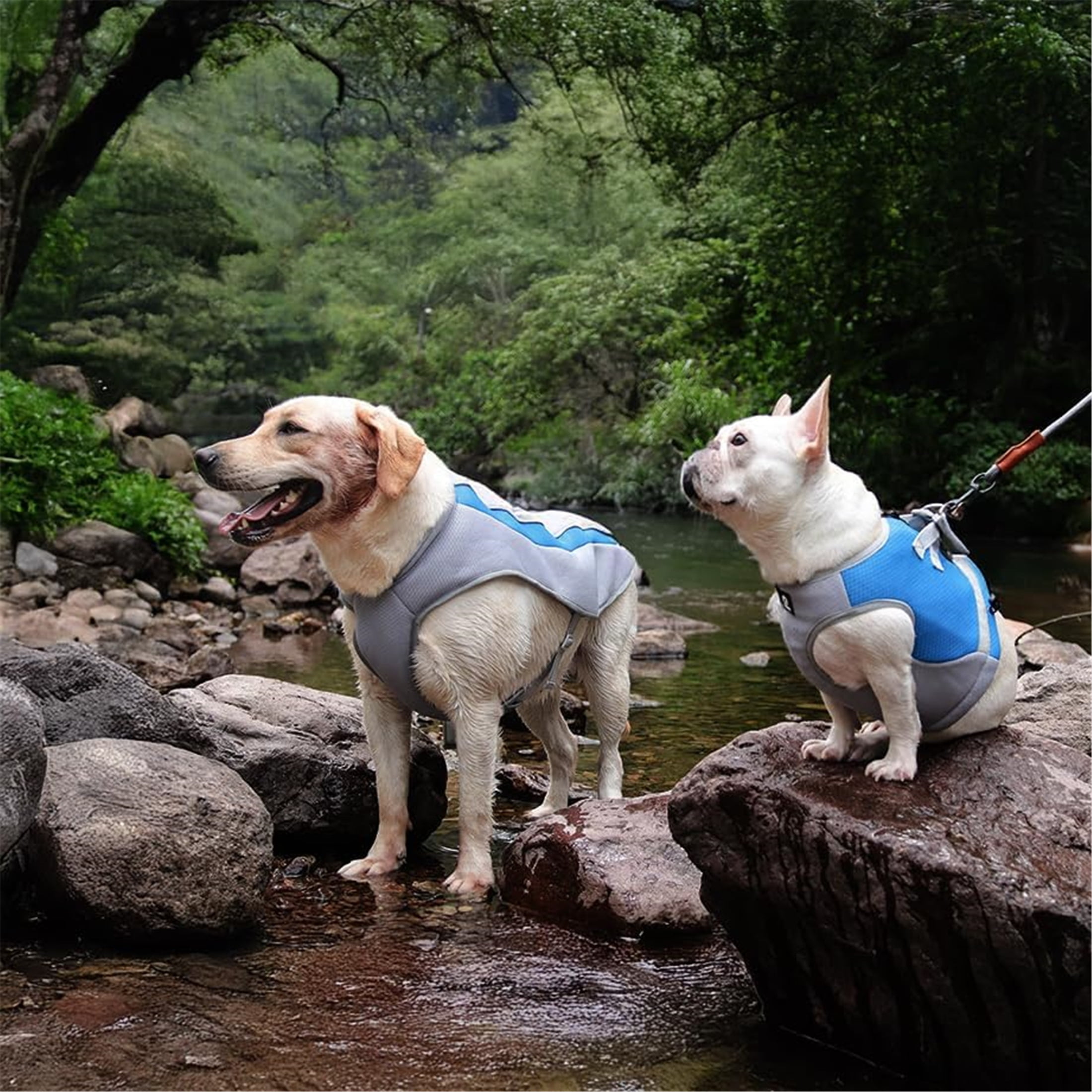 HQREA Dog Cooling Vest for Large Dogs, High-tech Dog Ice Harness, Hiking/Camping Gear