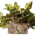 thumbnail image 2 of Nearly Natural 6708 Pothos Set on Foam Sheet Silk Plant, 2 of 6