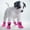 B, variant on Pet Supplies Water Shoes for Cats and Dogs - Protective Indoor Outdoor Booties for Small and Trailing Rainy Days 4PCS