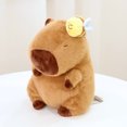 thumbnail image 1 of Poupée Capybara Véritable Poupée Jouet en Peluche Oreiller Cadeau d'Anniversaire Célébrité Internet Ragdoll DMH, 1 of 7