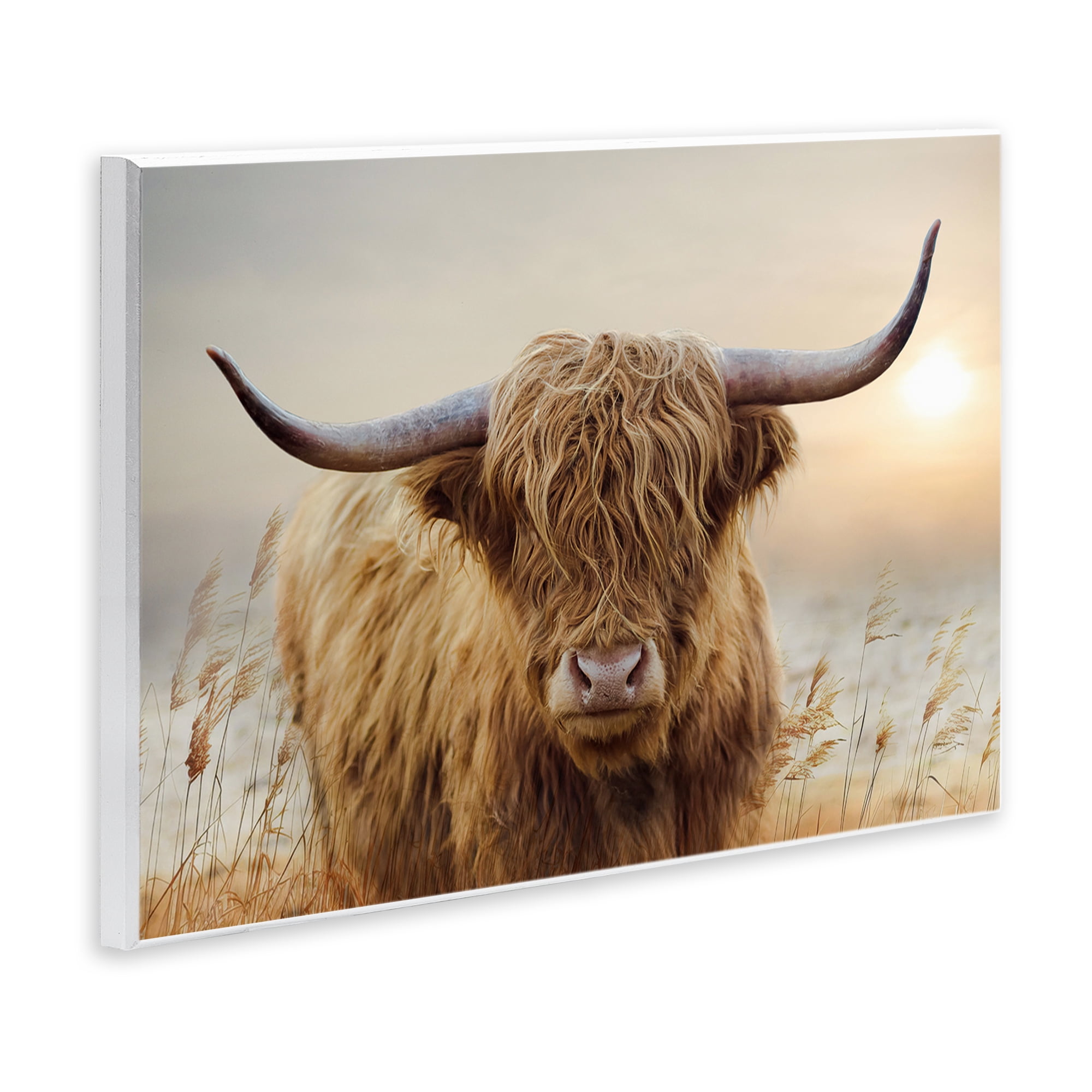 Stupell Industries Highland Cow & Warm Sunset Wall Plaque Art, design by CAD Designs