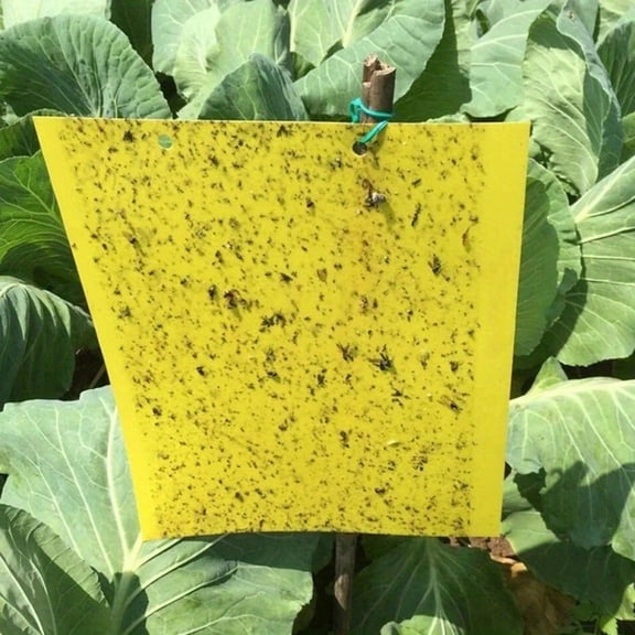 20Pcs Double-Sided Sticky Insect Catching Boards With Strong Adhesive For Flies Gnats Mosquitoes Small Bugs - Disposable Pest Control For Home Kitchen Garden Patio Office Indoor