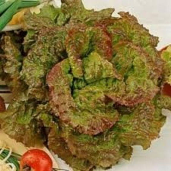 Lettuce Prizehead BULK 40,000 Seeds Great Heirloom Vegetable