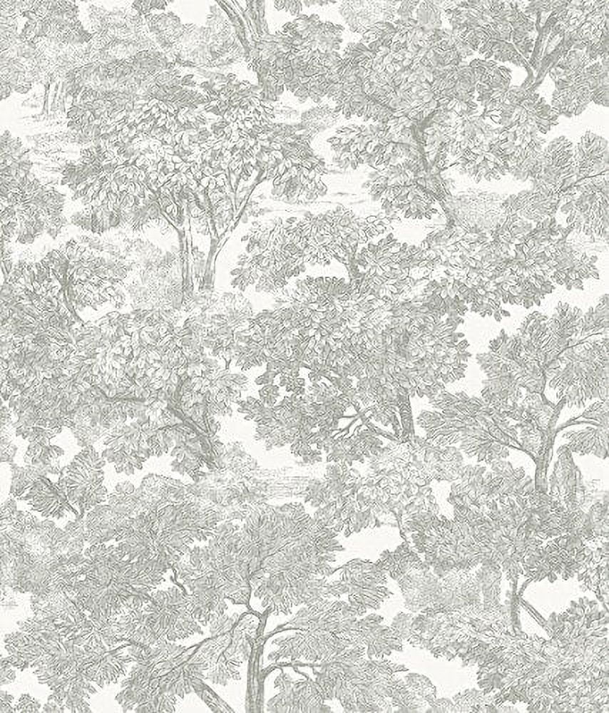 Chesapeake 3115-12541 Spinney Papier Peint de Toile, Gris