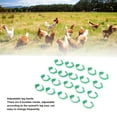 thumbnail image 3 of Chicken Leg Bands, Reusable 100pcs Green Adjustable Chicken Leg Rings Open Type  For Geese, 3 of 8
