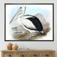 thumbnail image 2 of Designart 'Ancient Australian Birds VIII' Traditional Framed Canvas Wall Art Print, 2 of 5