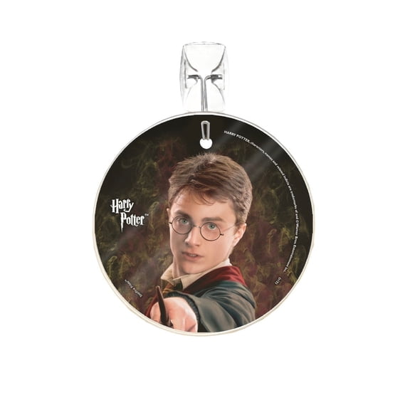 Harry Potter (Harry Potter) StarFire Prints™ Glass Art SPCIR522