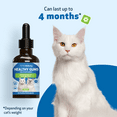 thumbnail image 6 of Pet Wellbeing Natural Cat Periodontal Health - Healthy Gums 2oz (59ml), 6 of 9