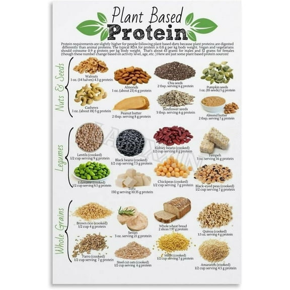 Plant Based Protein Poster Healthy Food Kitchen Wall Decor Painting for Living Room Bedroom Decor