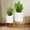 Glossy White, variant on Pots with Stand, Set of 2 Planters, Mid Century Decorative Flower Pots with Drainage, 10.5 & 12.25 Inch, White and