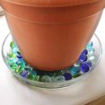 thumbnail image 4 of Achla TRY-01 Petit Plateau de Terrarium en Verre, 4 of 6