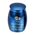 thumbnail image 4 of BELOVING Pet Ash Urn Container Memorial Keepsake Urns for Small Animals Rabbits Kitten Blue, 4 of 9