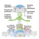 thumbnail image 3 of Móvil Fisher Price Newborn Toys 3 en 1 Sueños de Mariposa, 3 of 4