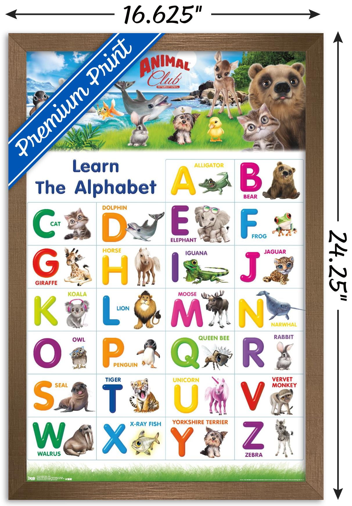 Animal Club - Letters ABC Wall Poster, Animal Club - Letters ABC Wall Poster,