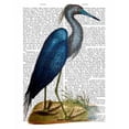 thumbnail image 2 of Fab Funky 26x32 Black Ornate Wood Framed with Double Matting Museum Art Print Titled - Blue Heron 2, 2 of 4