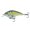 Shad Sense, variant on 6th Sense – Cloud 9 Magnum Silent Squarebill Bass Fishing Lure, 5–10ft Diving Crankbait