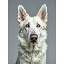 White German Shepherd Diamond Art Decor Kit,DIY Full Round Drill Diamond Dot Gem Art Kits for Adults,5D Diamond Painting Kits for Beginners,Home Wall Decor (12X16 Inch)