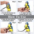 thumbnail image 2 of Bird Adjustable Harness Leash, Parrot Anti-bite Training Rope Outdoor Flying Traction Straps Band(2pcs,red), 2 of 5