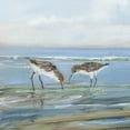 thumbnail image 2 of Swatland, Sally 12x12 Gold Ornate Wood Framed with Double Matting Museum Art Print Titled - Seabird Beach II, 2 of 4