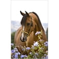 thumbnail image 1 of Cuadros Decorativos 5D bricolaje completo taladro diamante pintura caballo flores punto de cruz bordado mosaico Kit hogar pared decoración, 1 of 7