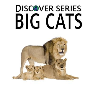 Children Series - Big Cats : Discover Series Picture Book for Children